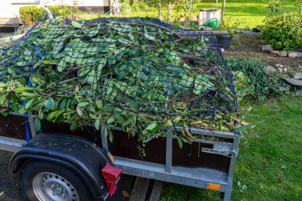  Deltana, AK Junk Removal Services Pros